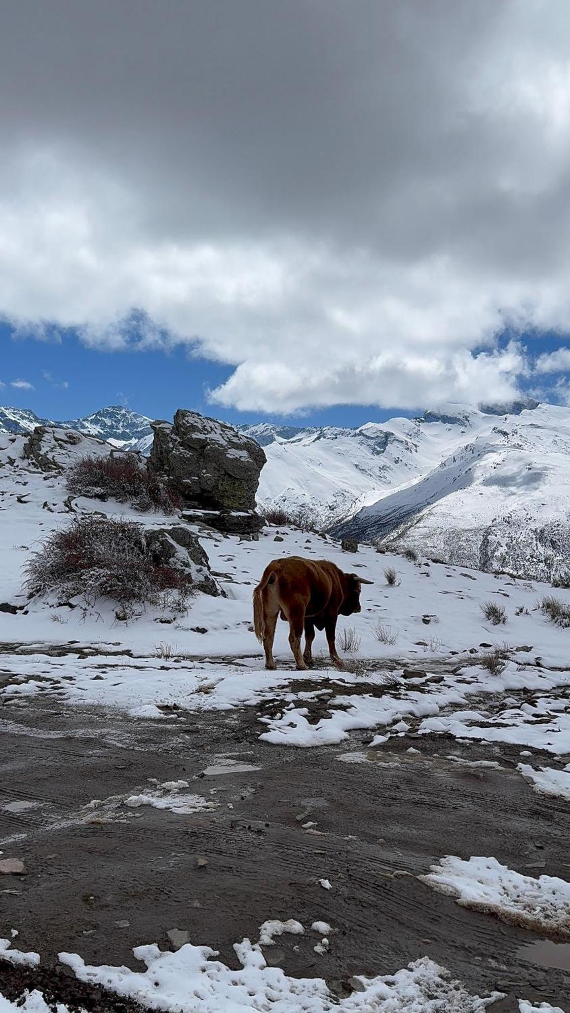 Casa A La Vera De La Sierra Guejar Sierra Exteriör bild